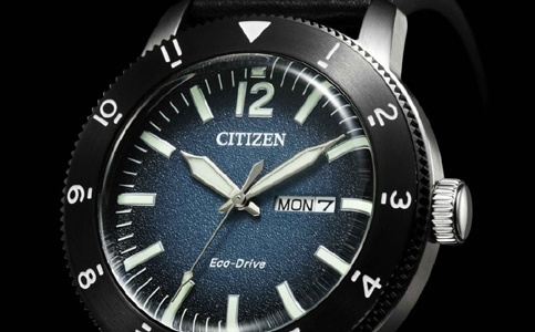 蘇州西鐵城表專(zhuān)修中心地址