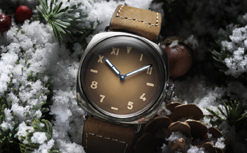 沛納海的西安維修點(diǎn)(如何更沛納海手表的表殼)